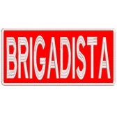 Patch Bordado P/ Costa de Colete 25 Cm por 10 Cm  BRIGADISTA
