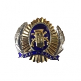 Distintivo de Boina Padrão PMESP - SD